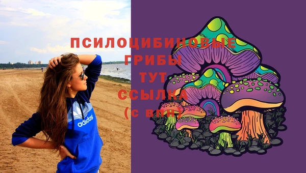 COCAINE Богданович
