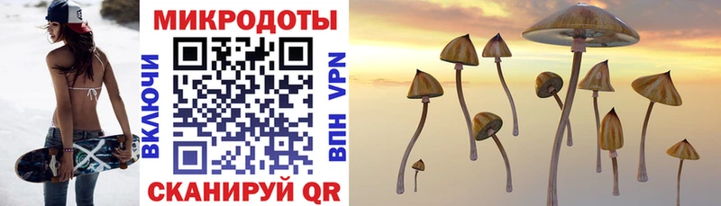 Псилоцибиновые грибы прущие грибы  Мончегорск 
